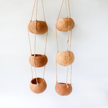 Load image into Gallery viewer, Coconut Shell Hanging Planter Pot