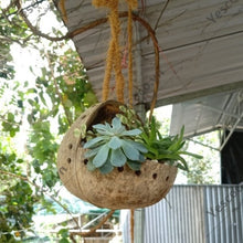 Load image into Gallery viewer, Coconut Shell Hanging Planter Pot