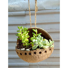 Load image into Gallery viewer, Coconut Shell Hanging Planter Pot