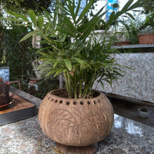 Load image into Gallery viewer, Coconut Shell Hanging Planter Pot