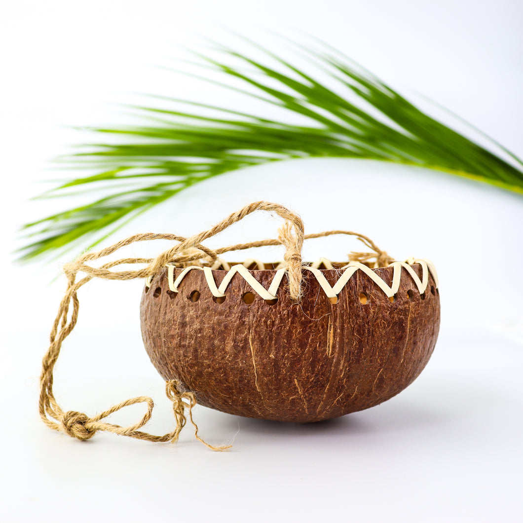 Coconut Shell Hanging Planter Pot