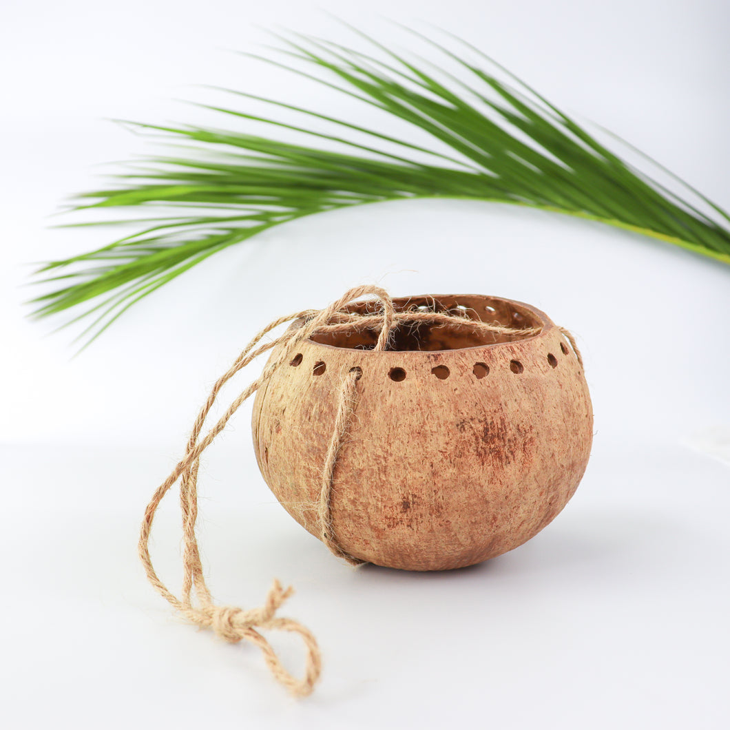 Coconut Shell Hanging Planter Pot