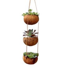 Load image into Gallery viewer, Coconut Shell Hanging Planter Pot
